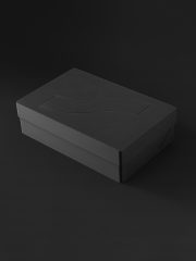 Live Case for Elektron Tonverk - Image 17