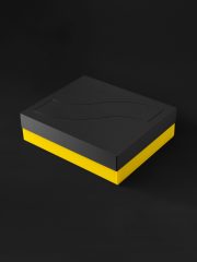 Eurorack Case + Lid, 62hp, VESA Mount, Light, Colored - Image 10